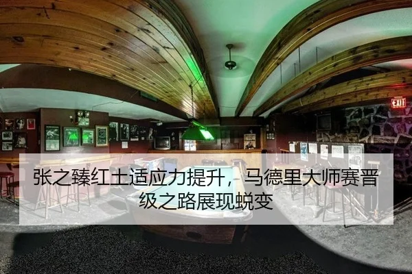 张之臻红土适应力提升，马德里大师赛晋级之路展现蜕变